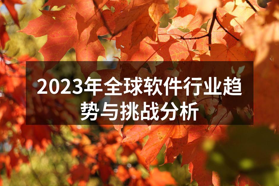 2023年全球软件行业趋势与挑战分析